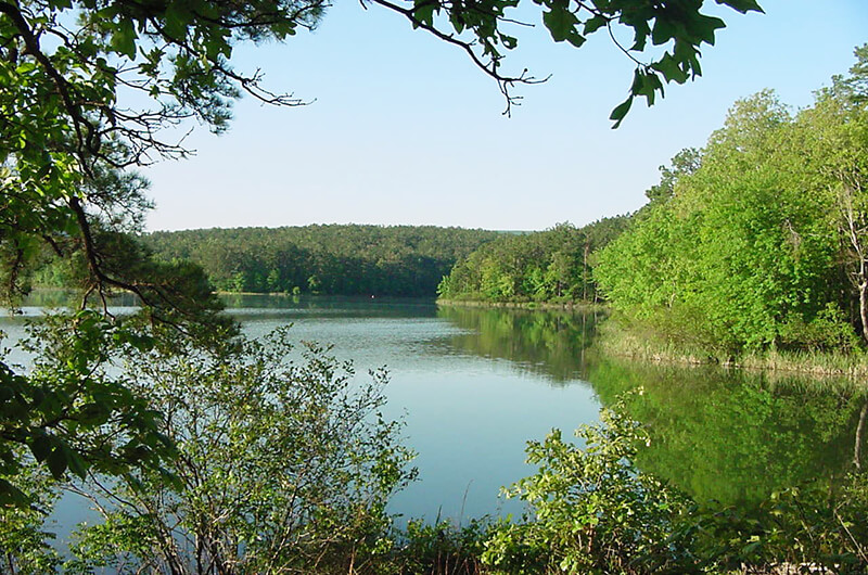 Ouachita National Forest