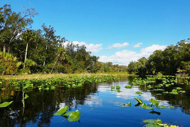 Alexander Springs Recreational Area