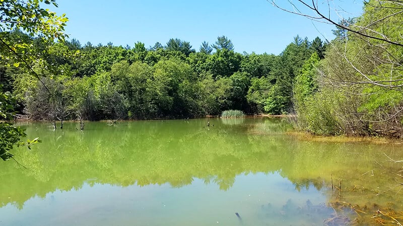 Finger Lakes State Park