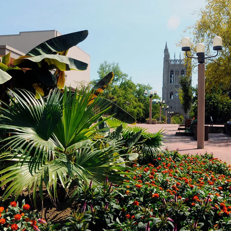 Mizzou Botanic Garden