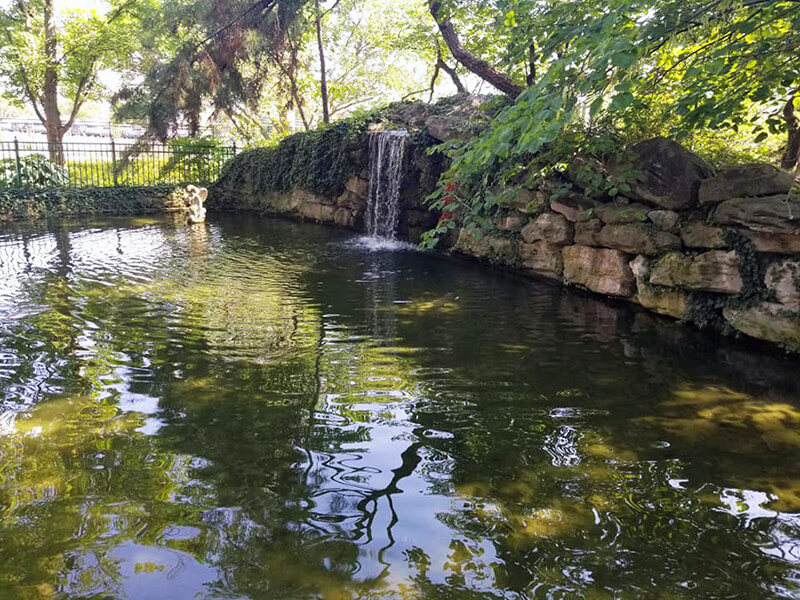 Shelter Gardens