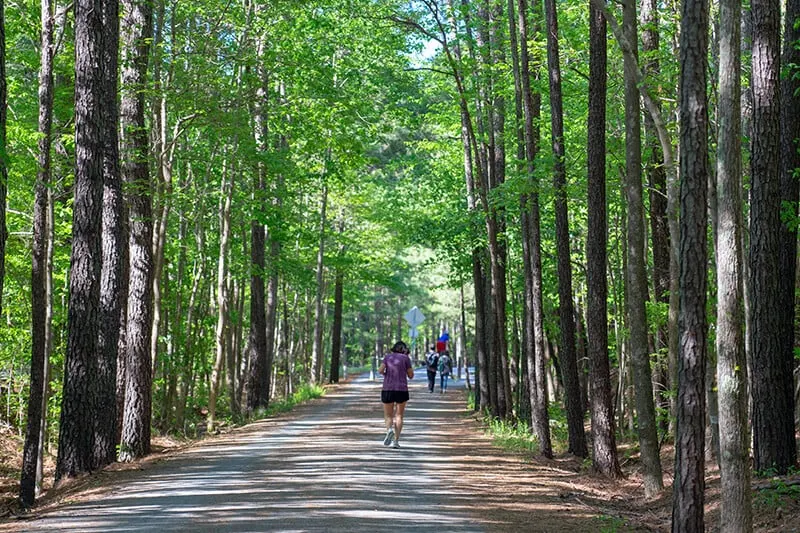 American Tobacco Trail