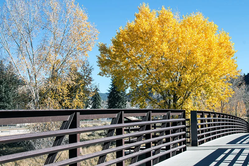 Animas River Trail