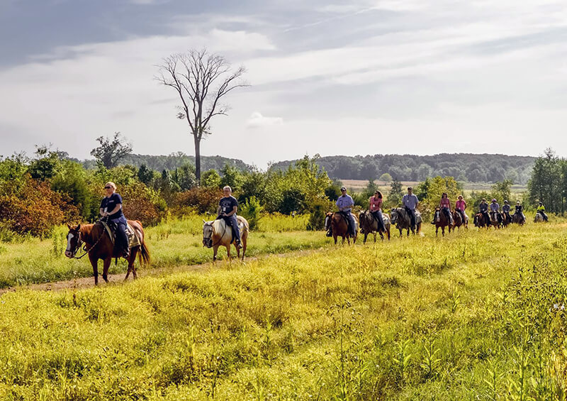 Horseback Riding Tour