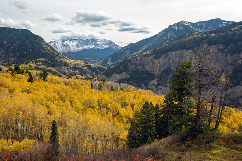 San Juan National Forest