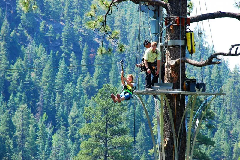 Soaring Tree Top Adventures