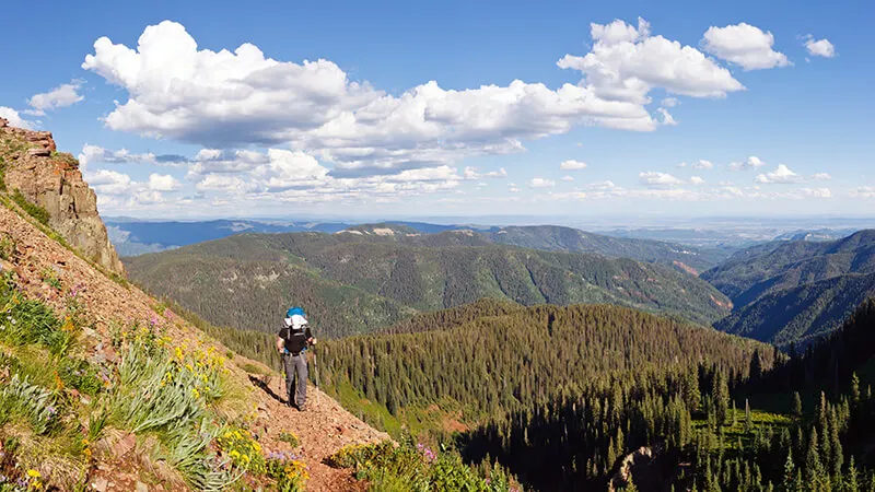 The Colorado Trail