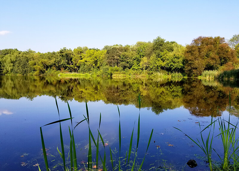 Bellevue State Park