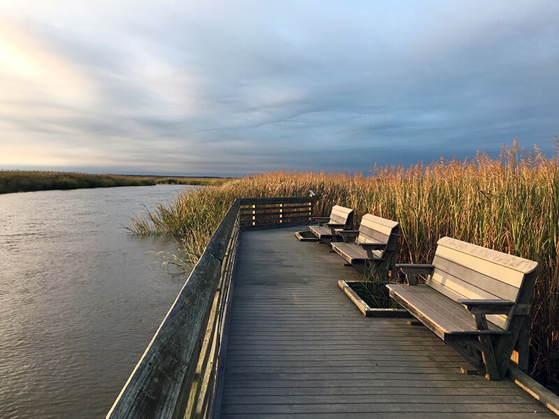 Bombay Hook National Wildlife Refuge