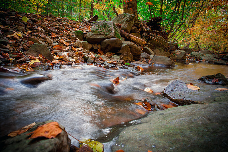 Brandywine Creek State Park