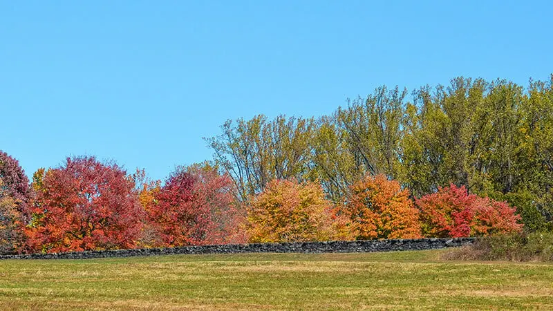 Brandywine Creek State Park