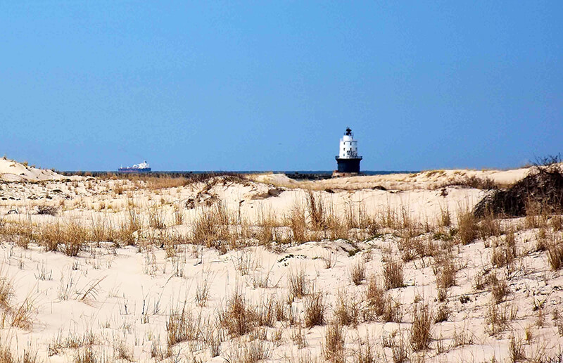 Cape Henlopen State Park