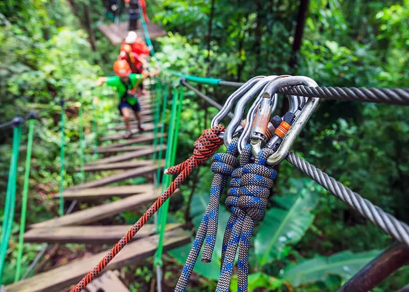 Go Ape Zipline and Adventure