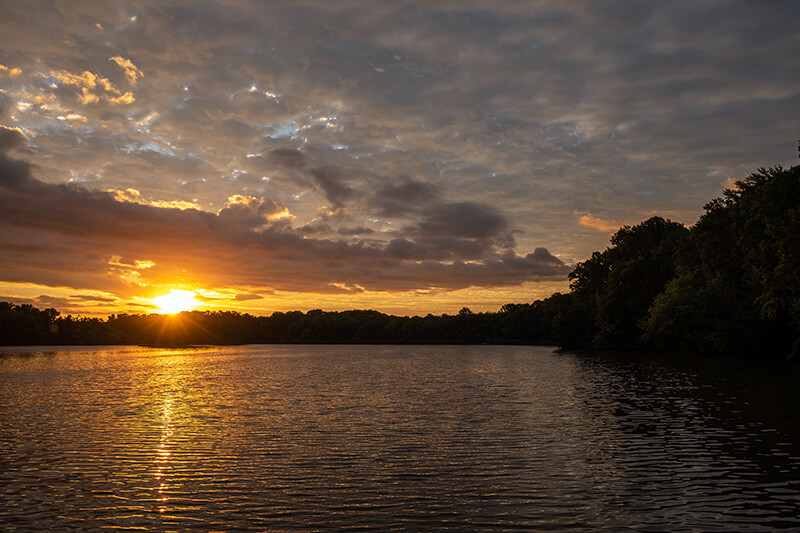 Lums Pond State Park