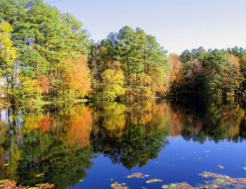 Trap Pond State Park