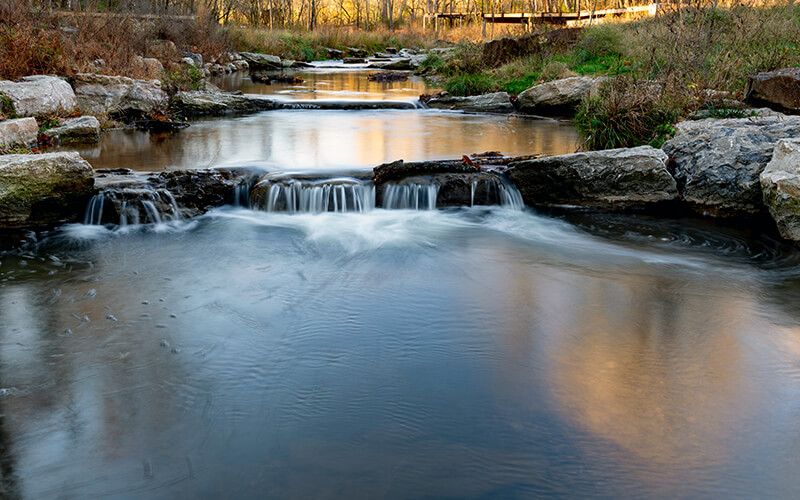 Coler Mountain Bike Preserve