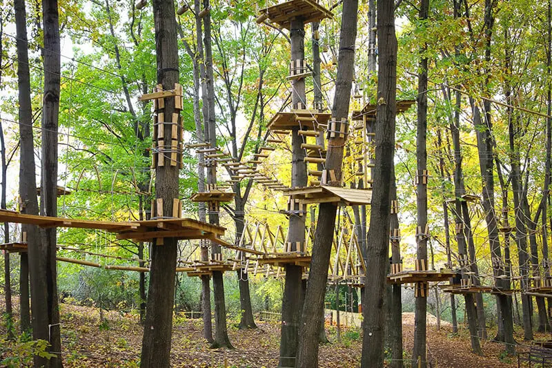 Frankenmuth Aerial Park