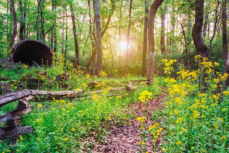 Sandy Creek Nature Center