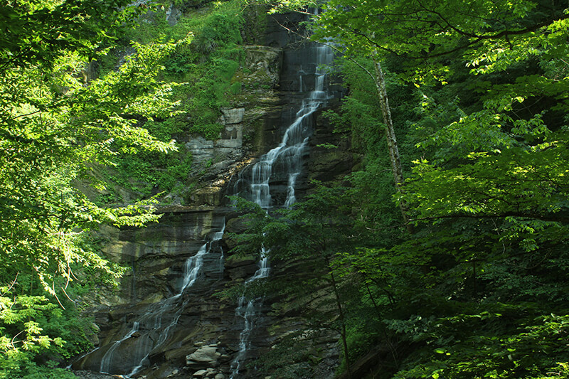 Pratts Falls