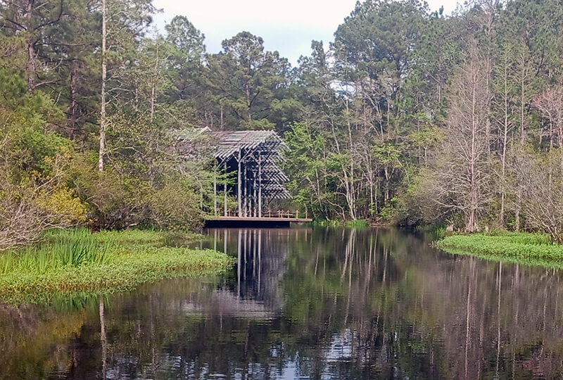 The Crosby Arboretum