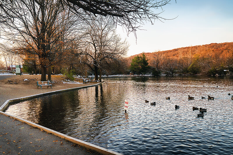 Webster Pond